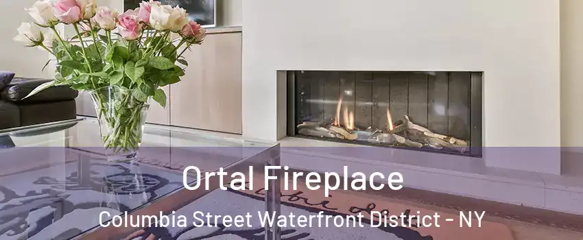 Ortal Fireplace Columbia Street Waterfront District - NY