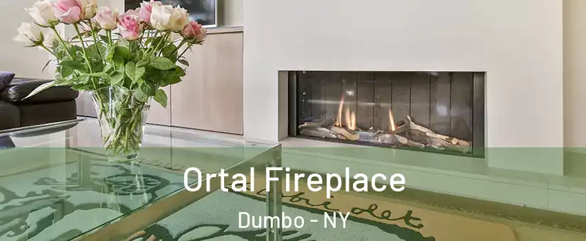 Ortal Fireplace Dumbo - NY