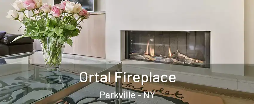 Ortal Fireplace Parkville - NY