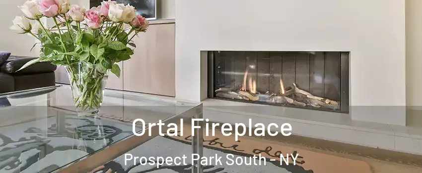 Ortal Fireplace Prospect Park South - NY