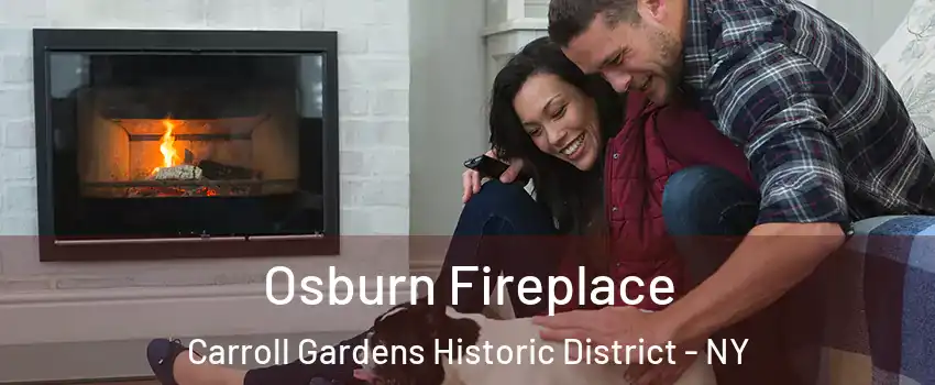 Osburn Fireplace Carroll Gardens Historic District - NY