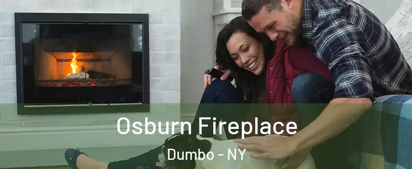 Osburn Fireplace Dumbo - NY