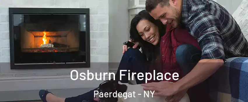 Osburn Fireplace Paerdegat - NY