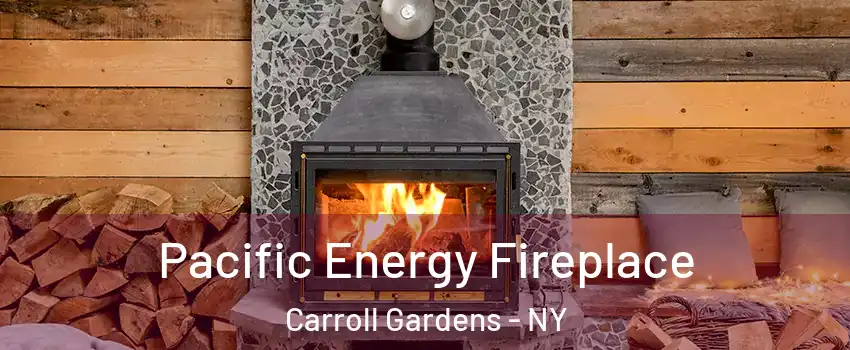 Pacific Energy Fireplace Carroll Gardens - NY