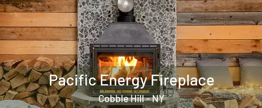 Pacific Energy Fireplace Cobble Hill - NY