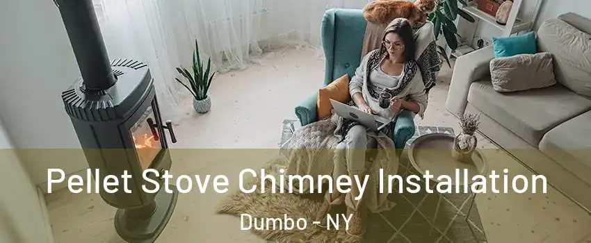 Pellet Stove Chimney Installation Dumbo - NY