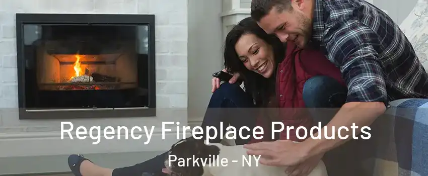 Regency Fireplace Products Parkville - NY