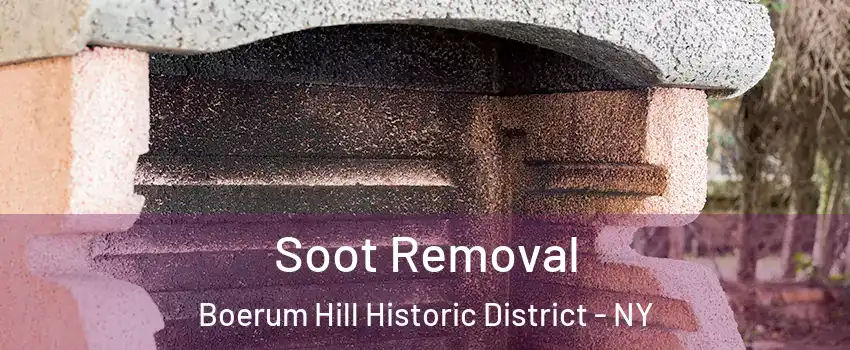 Soot Removal Boerum Hill Historic District - NY