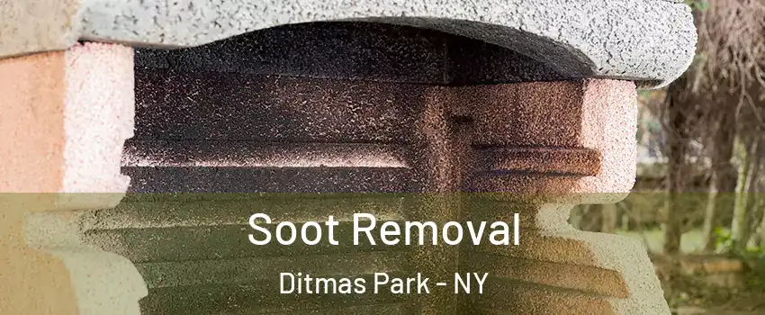 Soot Removal Ditmas Park - NY