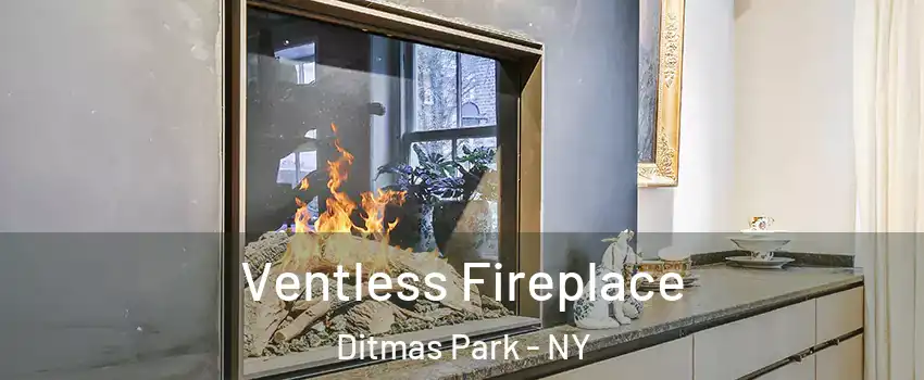 Ventless Fireplace Ditmas Park - NY