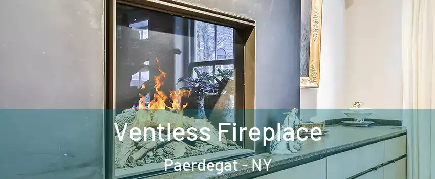 Ventless Fireplace Paerdegat - NY