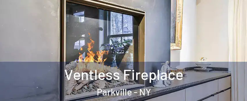 Ventless Fireplace Parkville - NY