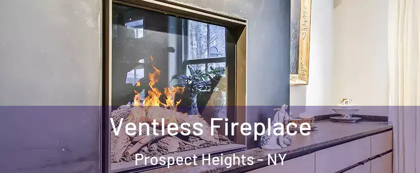 Ventless Fireplace Prospect Heights - NY