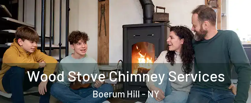 Wood Stove Chimney Services Boerum Hill - NY